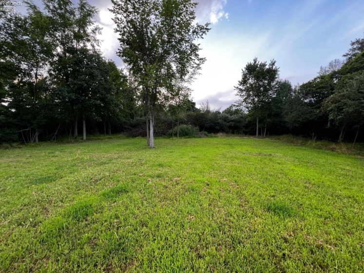 161 Twin Bay Trail, Willard, 44890, ,Land,For Sale,Twin Bay,20261044