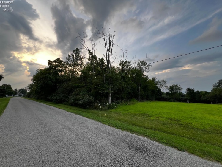 161 Twin Bay Trail, Willard, 44890, ,Land,For Sale,Twin Bay,20261044