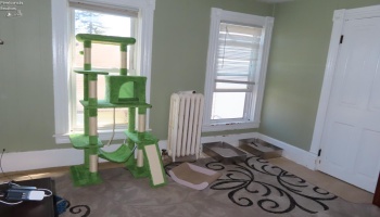 1110 Third St, Sandusky, 44870, ,Multiple Units,For Sale,Third St,20260931