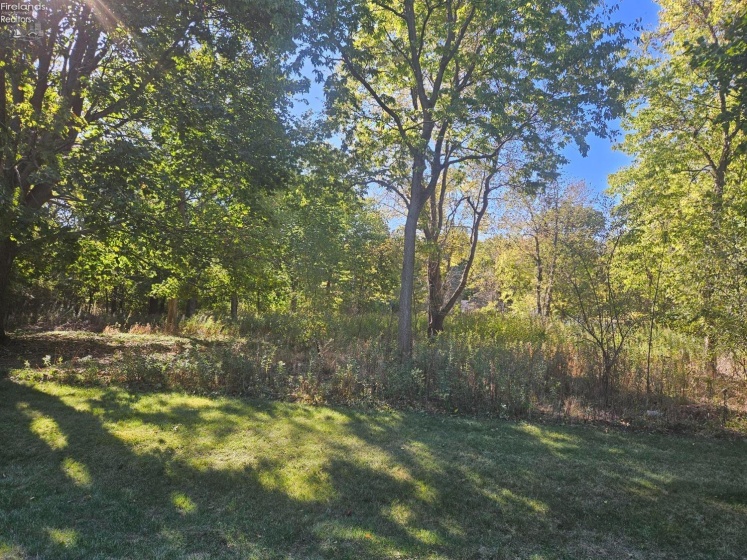 3995 Coachmans Trail, Port Clinton, 43452, ,Land,For Sale,Coachmans,20261053