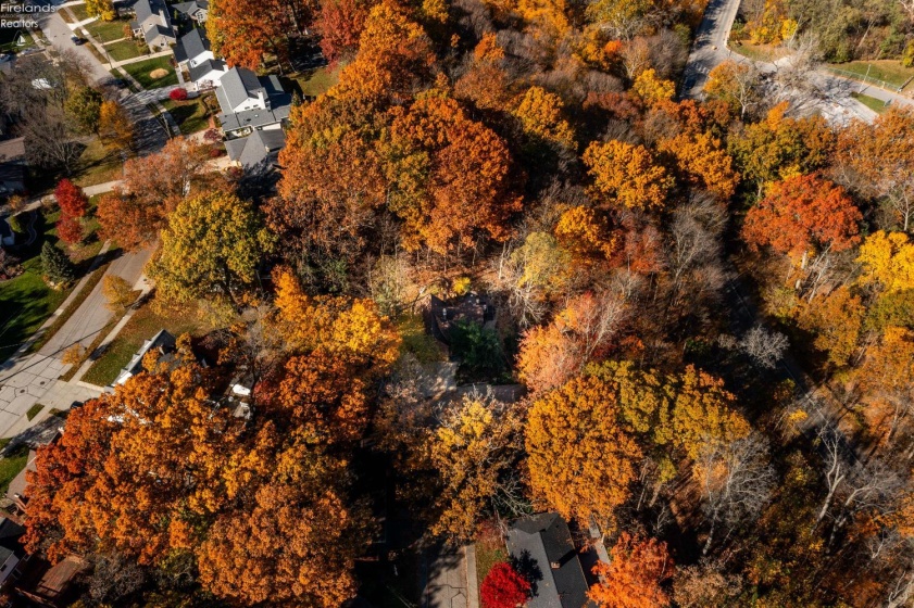 18500 Edgewood Drive, Rocky River, 44116, 3 Bedrooms Bedrooms, ,2 BathroomsBathrooms,Residential,For Sale,Edgewood,20261087