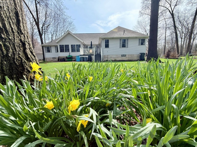 605 Sassafras Drive, Vermilion, 44089, 3 Bedrooms Bedrooms, ,3 BathroomsBathrooms,Residential,For Sale,Sassafras,20261115