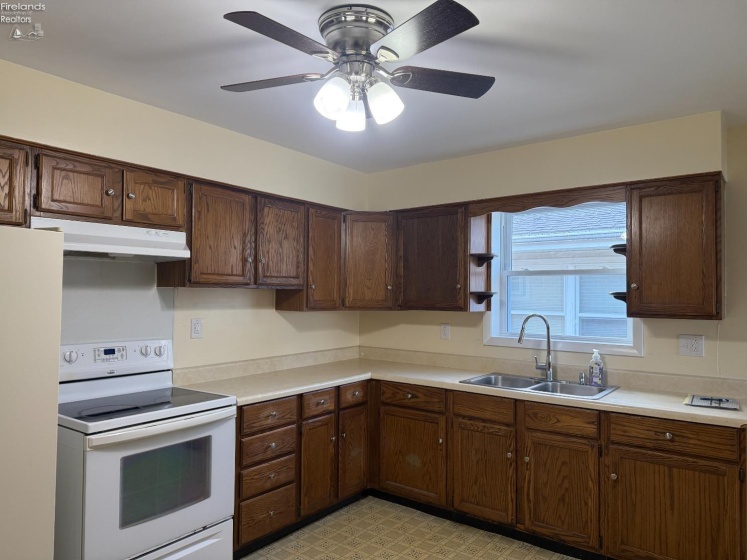 411 Collinwood Boulevard, Fremont, 43420, 3 Bedrooms Bedrooms, ,1 BathroomBathrooms,Residential,For Sale,Collinwood,20261143