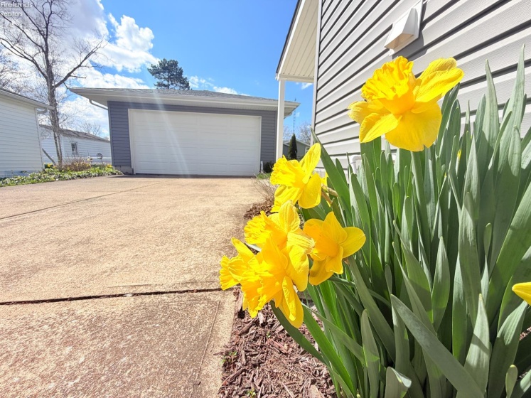 2078 Willowcove Drive, Marblehead, 43440, 2 Bedrooms Bedrooms, ,1 BathroomBathrooms,Residential,For Sale,Willowcove,20261157