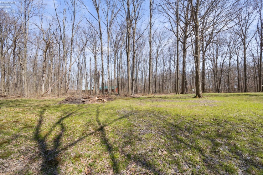 13460 Gifford Road, Oberlin, 44074, 4 Bedrooms Bedrooms, ,2 BathroomsBathrooms,Residential,For Sale,Gifford,20261142