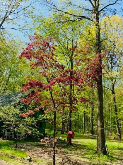 13460 Gifford Road, Oberlin, 44074, 4 Bedrooms Bedrooms, ,2 BathroomsBathrooms,Residential,For Sale,Gifford,20261142