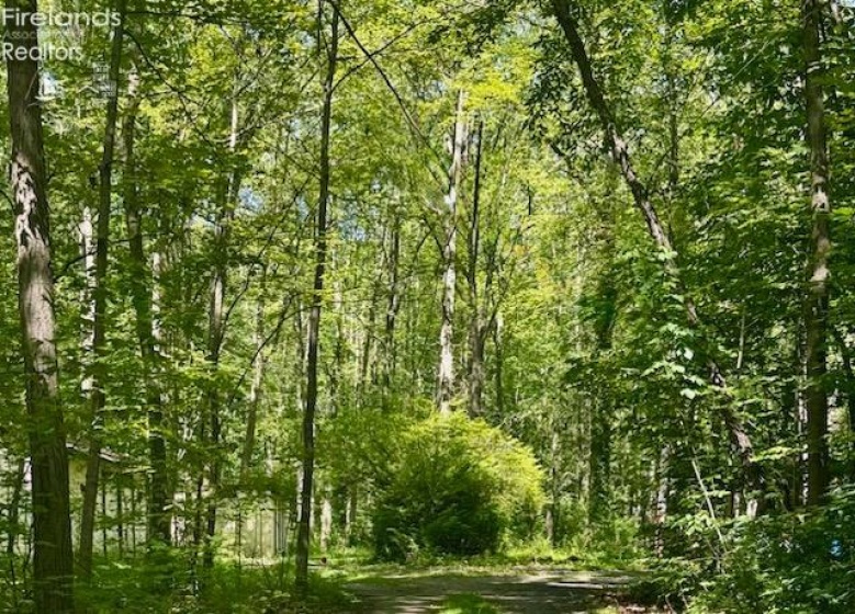 13460 Gifford Road, Oberlin, 44074, 4 Bedrooms Bedrooms, ,2 BathroomsBathrooms,Residential,For Sale,Gifford,20261142