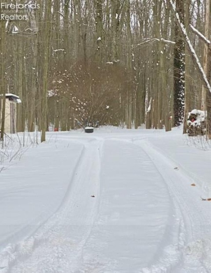 13460 Gifford Road, Oberlin, 44074, 4 Bedrooms Bedrooms, ,2 BathroomsBathrooms,Residential,For Sale,Gifford,20261142