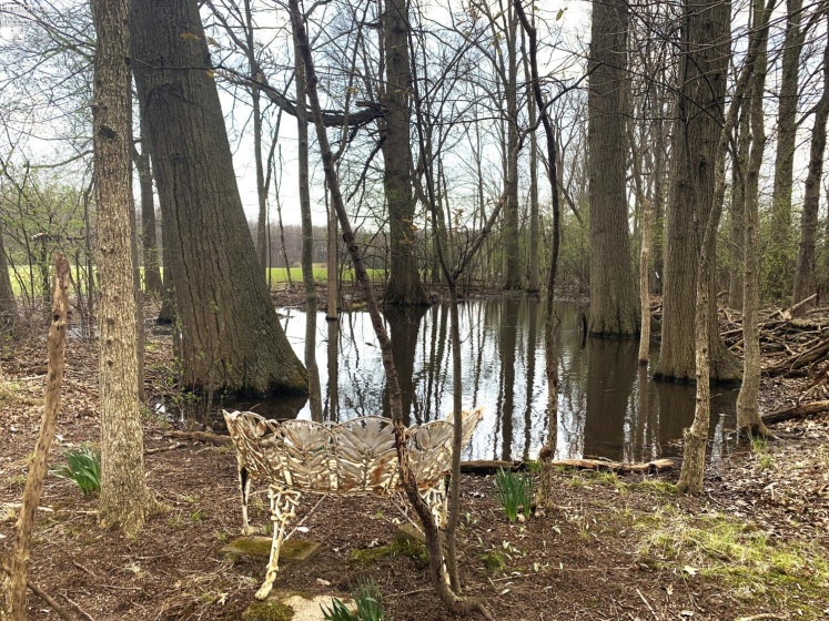 45089 E Hamilton St, Oberlin, 44074, 3 Bedrooms Bedrooms, ,2 BathroomsBathrooms,Residential,For Sale,E Hamilton St,20261236