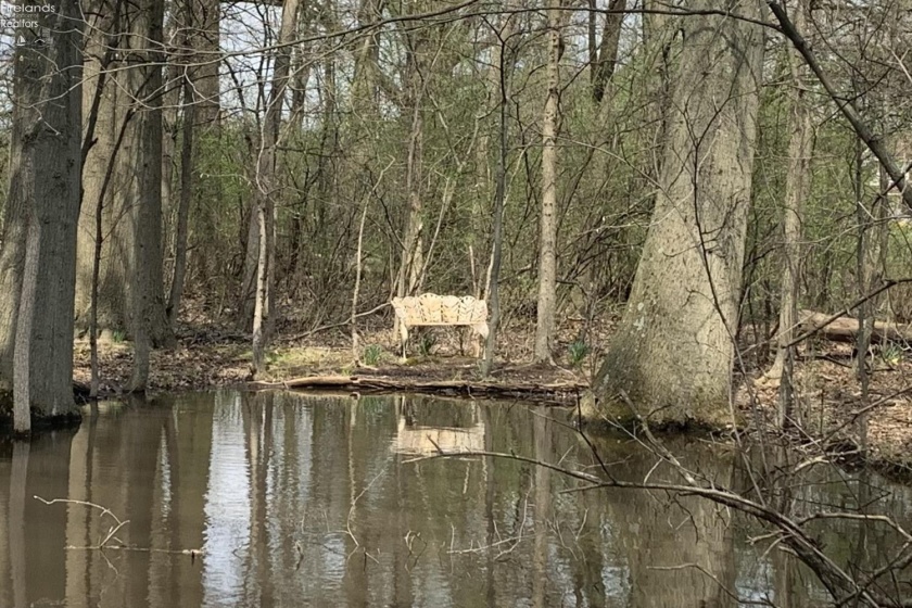 45089 E Hamilton St, Oberlin, 44074, 3 Bedrooms Bedrooms, ,2 BathroomsBathrooms,Residential,For Sale,E Hamilton St,20261236