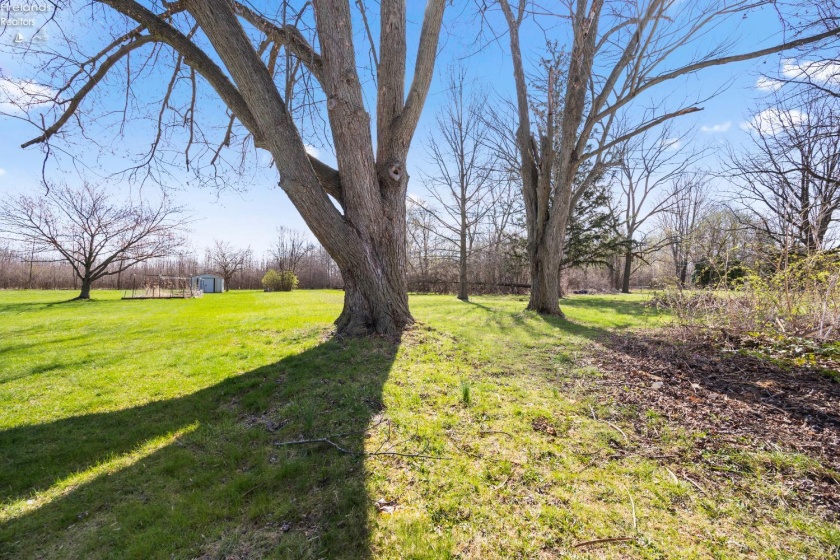 426 Locust Street, Oak Harbor, 43449, 3 Bedrooms Bedrooms, ,1 BathroomBathrooms,Residential,For Sale,Locust,20261129