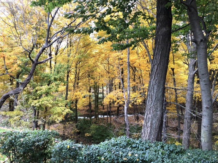 2961 Ridge Road, Norwalk, 44857, 4 Bedrooms Bedrooms, ,5 BathroomsBathrooms,Residential,For Sale,Ridge,20254369