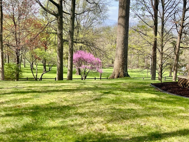 54 Harris Avenue, Norwalk, 44857, 2 Bedrooms Bedrooms, ,3 BathroomsBathrooms,Residential,For Sale,Harris,20261305