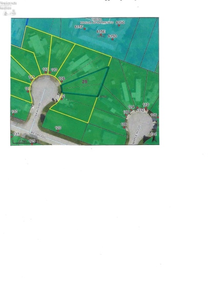 0 Oakwood Drive, Bellevue, 44811, ,Land,For Sale,Oakwood Drive,20261351