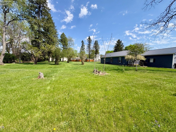 0 Thomas Street, Tiffin, 44883, ,Land,For Sale,Thomas,20261436