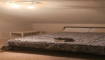 606 Oakland Avenue, Sandusky, 44870, 2 Bedrooms Bedrooms, ,1 BathroomBathrooms,Residential,For Sale,Oakland,20261389