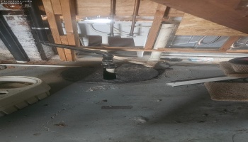 606 Oakland Avenue, Sandusky, 44870, 2 Bedrooms Bedrooms, ,1 BathroomBathrooms,Residential,For Sale,Oakland,20261389