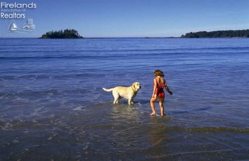 1541 Anchor, Port Clinton, 43452, 4 Bedrooms Bedrooms, ,4 BathroomsBathrooms,Residential,For Sale,Anchor,20261464