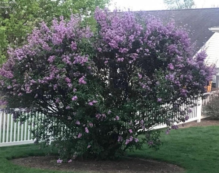 509 Washington St., Republic, 44867, 3 Bedrooms Bedrooms, ,2 BathroomsBathrooms,Residential,For Sale,Washington St.,20261418