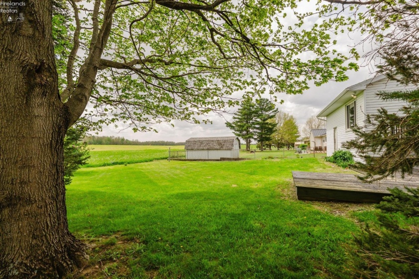 41 New Haven Street, Bloomville, 44818, 3 Bedrooms Bedrooms, ,1 BathroomBathrooms,Residential,For Sale,New Haven,20261397