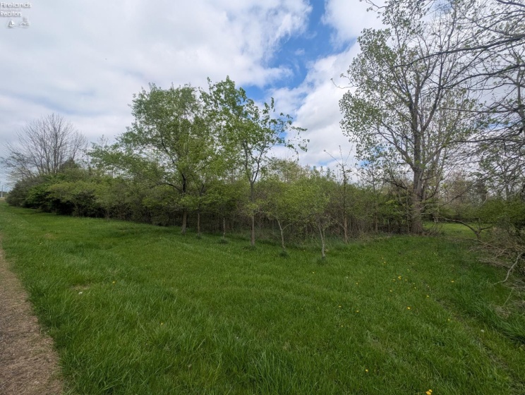 1703 Dubbert Road, Port Clinton, 43452, ,Land,For Sale,Dubbert,20261538