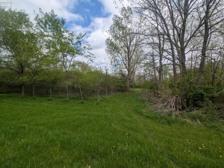 1679 Dubbert Road, Port Clinton, 43452, ,Land,For Sale,Dubbert,20261539