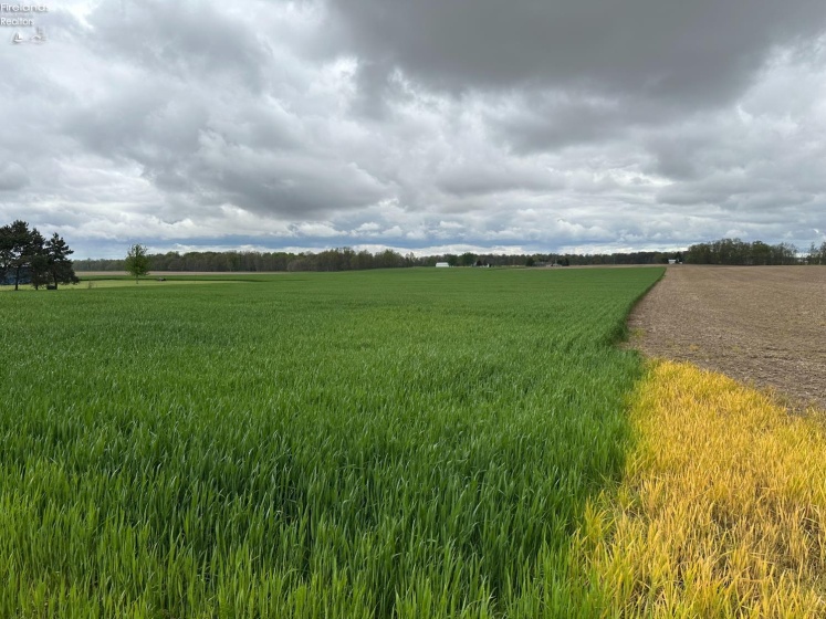 0 North Auburn Road, Tiro, 44887, ,Land,For Sale,North Auburn,20261548