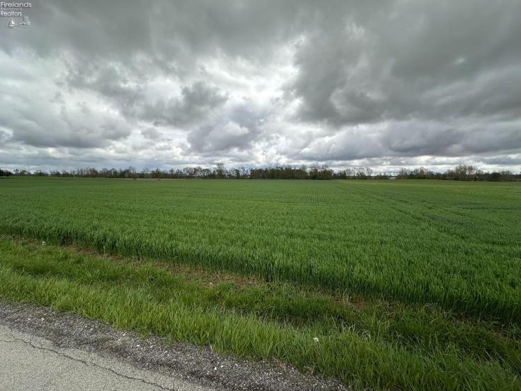 0 North Auburn Road, Tiro, 44887, ,Land,For Sale,North Auburn,20261548