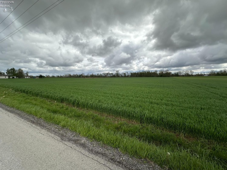 0 North Auburn Road, Tiro, 44887, ,Land,For Sale,North Auburn,20261548