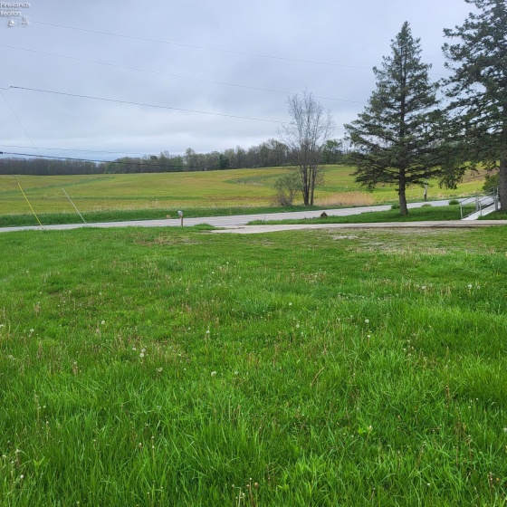 1639 St Rt 99, Willard, 44890, 3 Bedrooms Bedrooms, ,2 BathroomsBathrooms,Residential,For Sale,St Rt 99,20261557