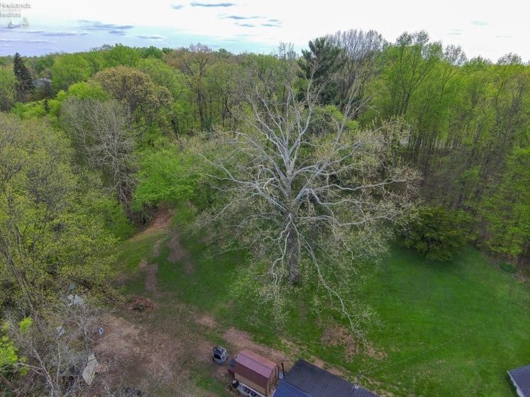6632 Township Road 131, Tiffin, 44883, 3 Bedrooms Bedrooms, ,1 BathroomBathrooms,Residential,For Sale,Township Road 131,20261608
