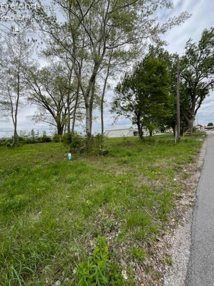 0 Morgan Street, Tiffin, 44883, ,Land,For Sale,Morgan,20261689