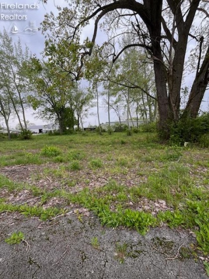 0 Morgan Street, Tiffin, 44883, ,Land,For Sale,Morgan,20261689