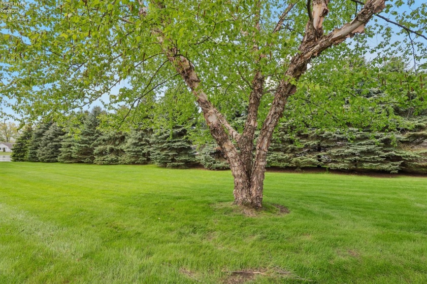 2111 Lakefield Drive, Huron, 44839, 2 Bedrooms Bedrooms, ,2 BathroomsBathrooms,Residential,For Sale,Lakefield,20261686