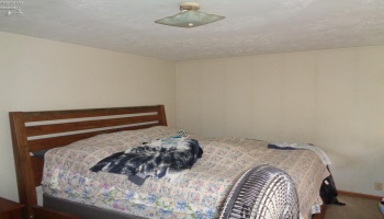 1246 Greenfield Drive, Willard, 44890, 3 Bedrooms Bedrooms, ,1 BathroomBathrooms,Residential,For Sale,Greenfield,20261841