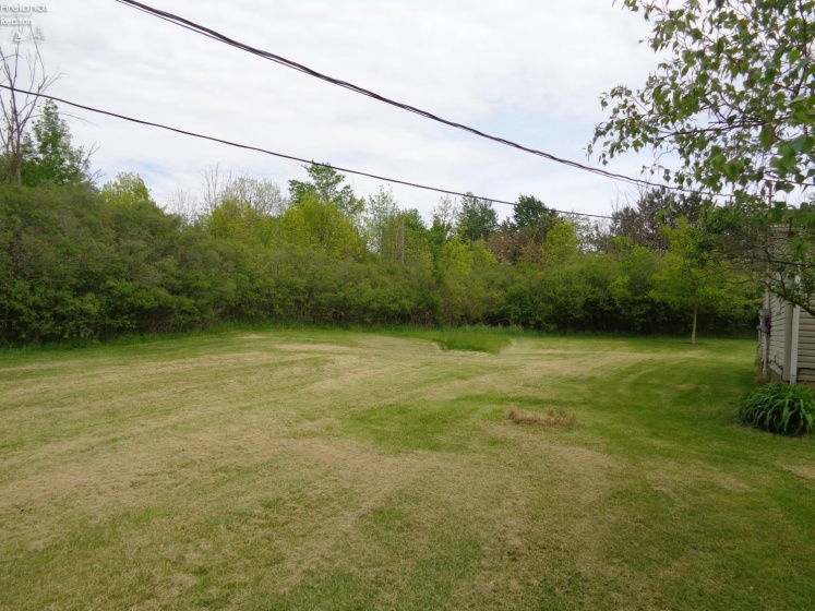 1246 Greenfield Drive, Willard, 44890, 3 Bedrooms Bedrooms, ,1 BathroomBathrooms,Residential,For Sale,Greenfield,20261841