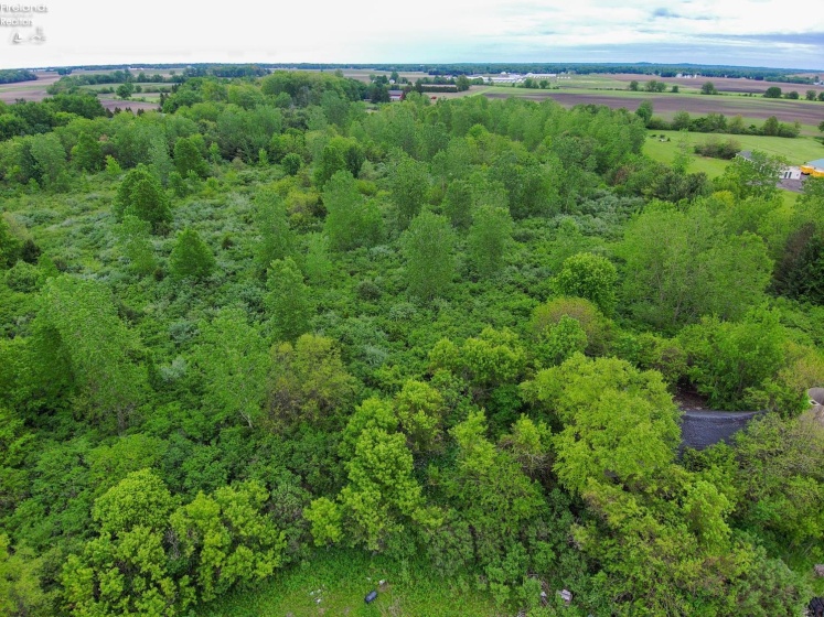 9312 Milan Rd., Milan, 44846, ,Land,For Sale,Milan Rd.,20261889