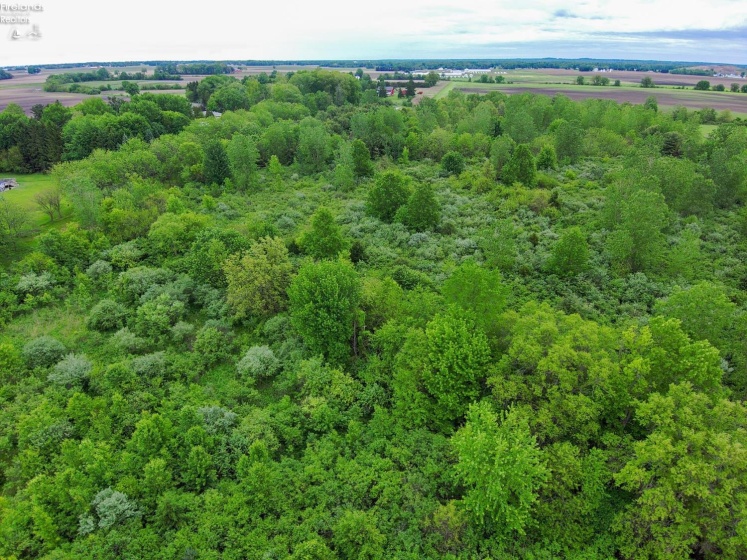 9312 Milan Rd., Milan, 44846, ,Land,For Sale,Milan Rd.,20261889