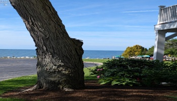 459 Lake Pine, Marblehead, 43440, 1 Bedroom Bedrooms, ,1 BathroomBathrooms,Residential,For Sale,Lake Pine,20261875