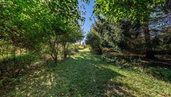 12430 Bier Road, Oak Harbor, 43449, 3 Bedrooms Bedrooms, ,1 BathroomBathrooms,Residential,For Sale,Bier,20261662 12430 Bier Road, Oak Harbor, 43449, 3 Bedrooms Bedrooms, ,1 BathroomBathrooms,Residential,For Sale,Bier,20261662