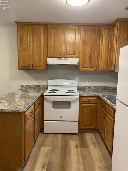 124 Tiffin Avenue, Huron, 44839, ,Multiple Units,For Sale,Tiffin,20261917