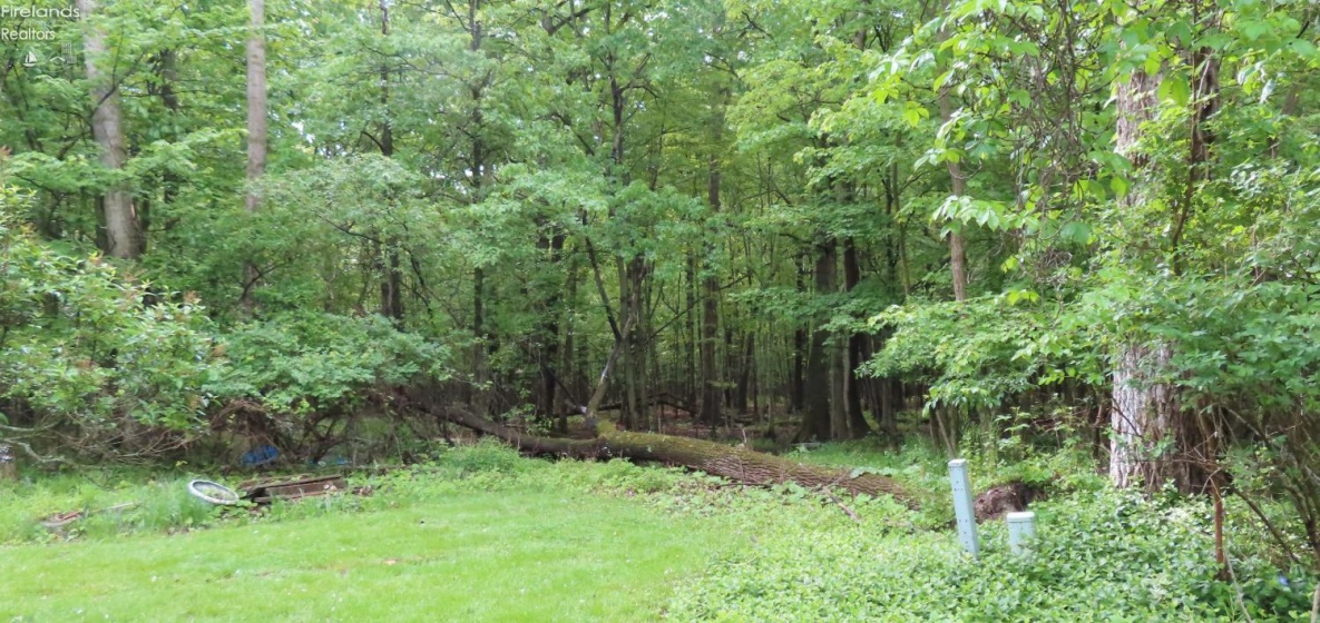695 Morris Drive, Vermilion, 44089, 4 Bedrooms Bedrooms, ,2 BathroomsBathrooms,Residential,For Sale,Morris,20262028