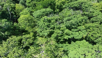 0 Decatur, Put-In-Bay, 43456, ,Land,For Sale,Decatur,20262078 0 Decatur, Put-In-Bay, 43456, ,Land,For Sale,Decatur,20262078