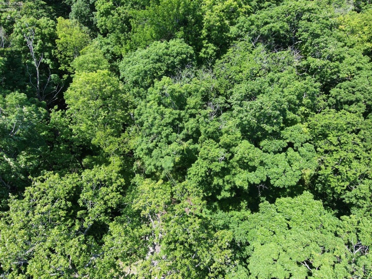 0 Decatur, Put-In-Bay, 43456, ,Land,For Sale,Decatur,20262078