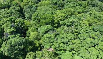 0 Decatur, Put-In-Bay, 43456, ,Land,For Sale,Decatur,20262078 0 Decatur, Put-In-Bay, 43456, ,Land,For Sale,Decatur,20262078