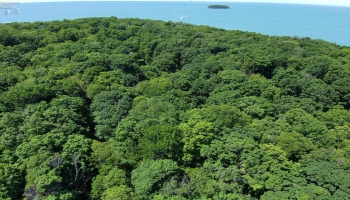 0 Decatur, Put-In-Bay, 43456, ,Land,For Sale,Decatur,20262078