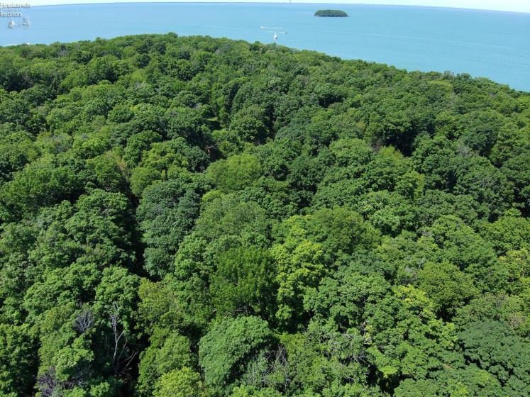 0 Decatur, Put-In-Bay, 43456, ,Land,For Sale,Decatur,20262078