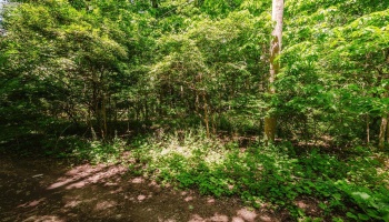 0 Decatur, Put-In-Bay, 43456, ,Land,For Sale,Decatur,20262078 0 Decatur, Put-In-Bay, 43456, ,Land,For Sale,Decatur,20262078