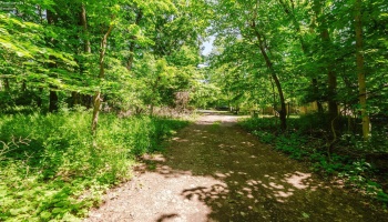 0 Decatur, Put-In-Bay, 43456, ,Land,For Sale,Decatur,20262078 0 Decatur, Put-In-Bay, 43456, ,Land,For Sale,Decatur,20262078