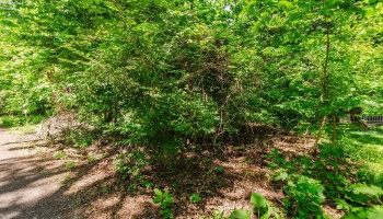 0 Decatur, Put-In-Bay, 43456, ,Land,For Sale,Decatur,20262078 0 Decatur, Put-In-Bay, 43456, ,Land,For Sale,Decatur,20262078